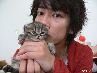 ねこ画像で癒されるトピ4