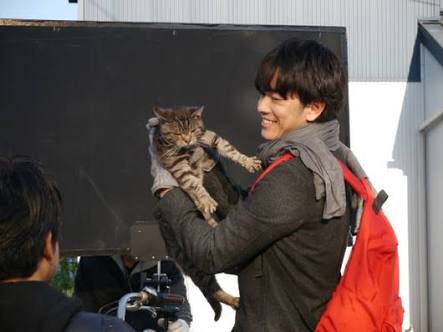 ねこ画像で癒されるトピ4