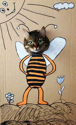 ねこ画像で癒されるトピ4