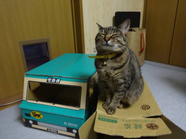 ねこ画像で癒されるトピ4
