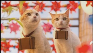 ねこ画像で癒されるトピ4