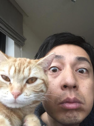 ねこ画像で癒されるトピ4