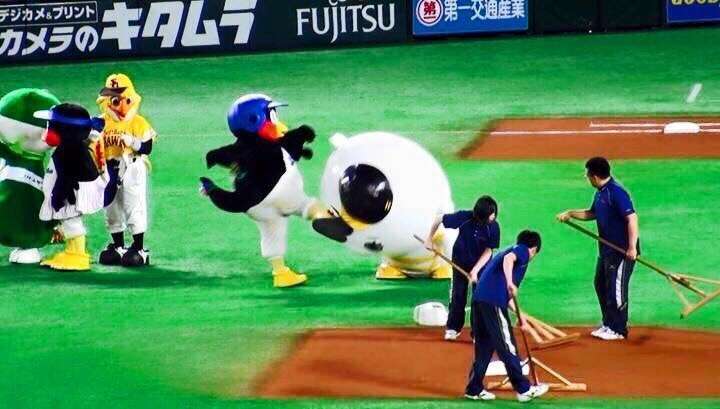 つば九郎が好きな人〜!