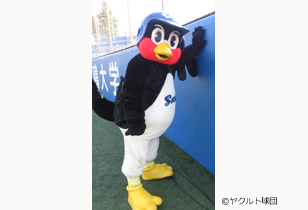 つば九郎が好きな人〜!
