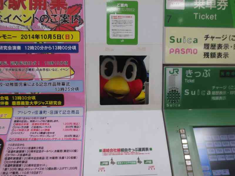 つば九郎が好きな人〜!