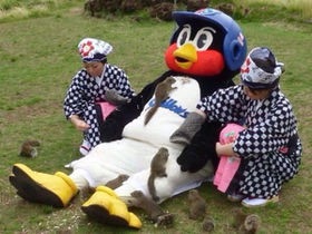 つば九郎が好きな人〜!