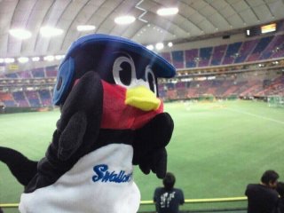 つば九郎が好きな人〜!