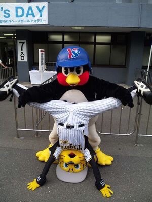 つば九郎が好きな人〜!