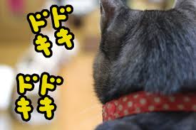 手続きが怖い人