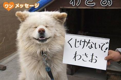 心が洗われる画像を貼るトピ