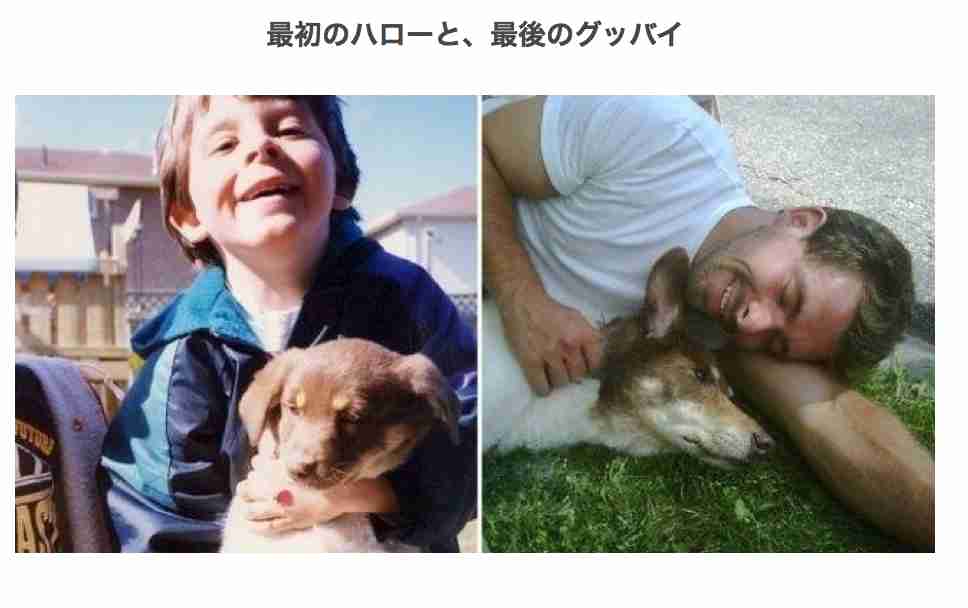 心が洗われる画像を貼るトピ