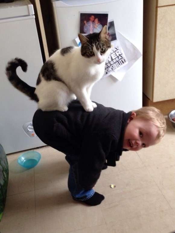 心が洗われる画像を貼るトピ