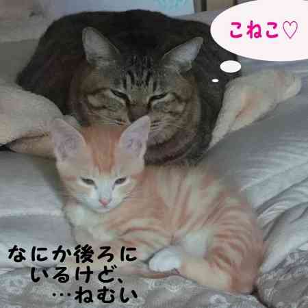 小学生の恋愛あるある