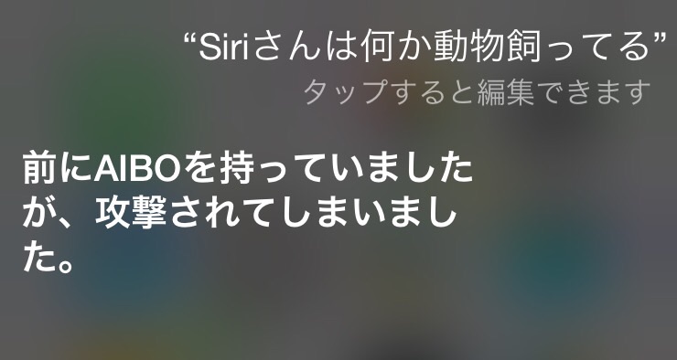 Siriとした会話を教えて下さい。