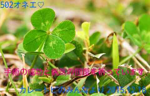 カレーが好きな人！