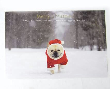 カレーが好きな人！