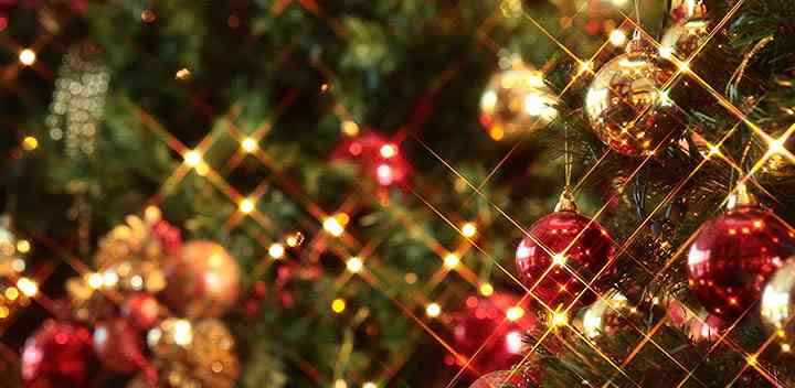 カレーが好きな人！