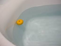 カレーが好きな人！