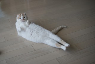 子供を寝かしつけるコツ