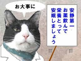やる気スイッチ オフになる事