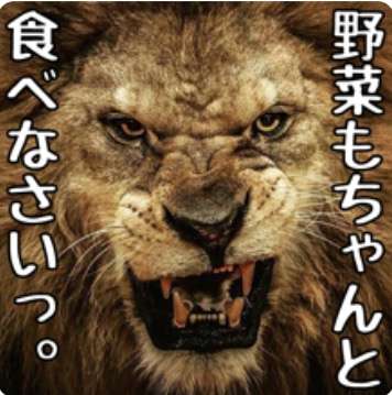 やる気スイッチ オフになる事