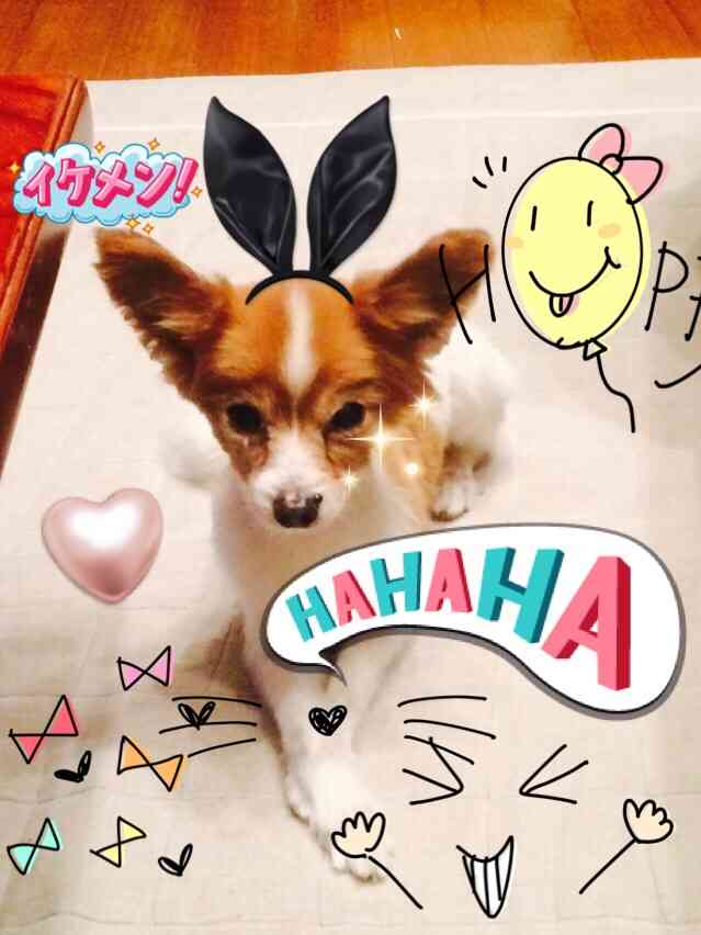やる気スイッチ オフになる事