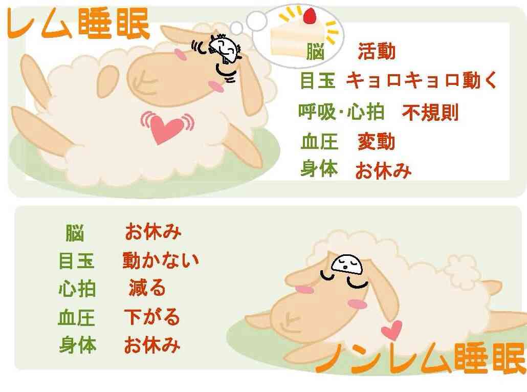 よく金縛りにあう人
