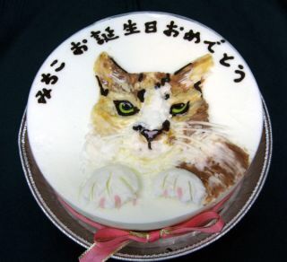 すごいケーキの画像