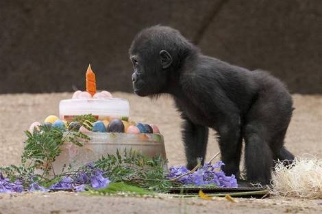 すごいケーキの画像