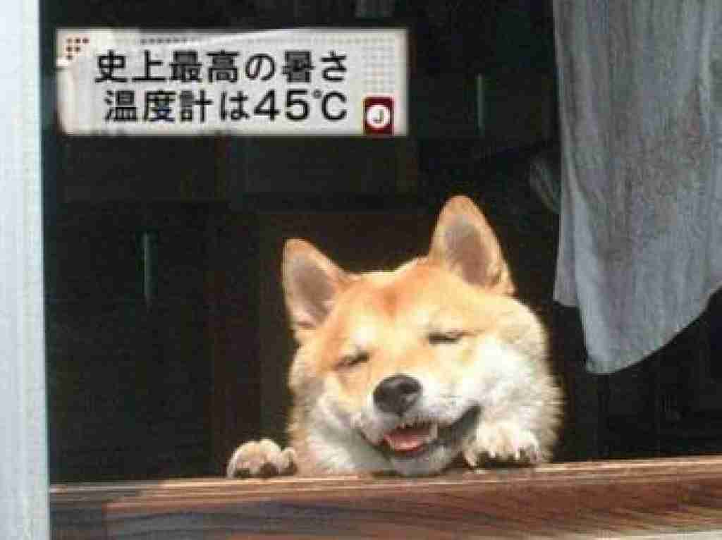 師走なのに暇な人