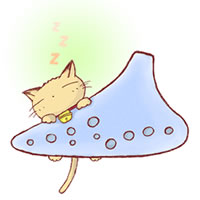好きな音は?
