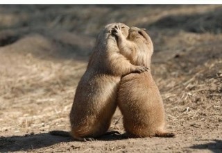 今までで一番最低だったキス