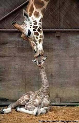 今までで一番最低だったキス