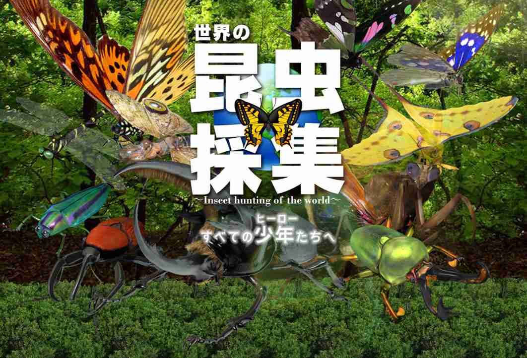 子供の頃出来たけど、大人になって出来なくなったこと