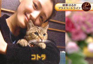 あなたの好きな芸能人とペットの画像を貼るトピ。