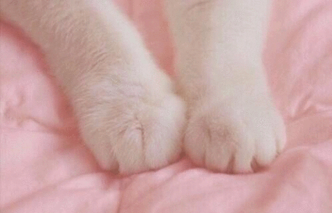 ノリの良い口調で会話するトピ