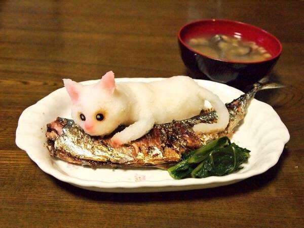 猫に関する質問トピ