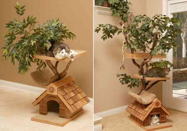 猫に関する質問トピ