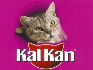猫に関する質問トピ
