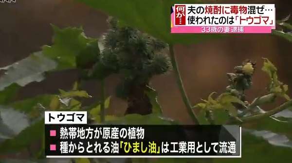 “毒殺”未遂、妻逮捕 夫「胃腸炎だと…」