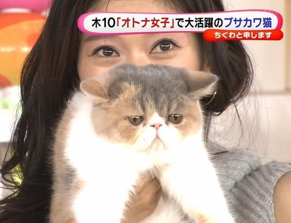 自分と誕生日が同じ芸能人