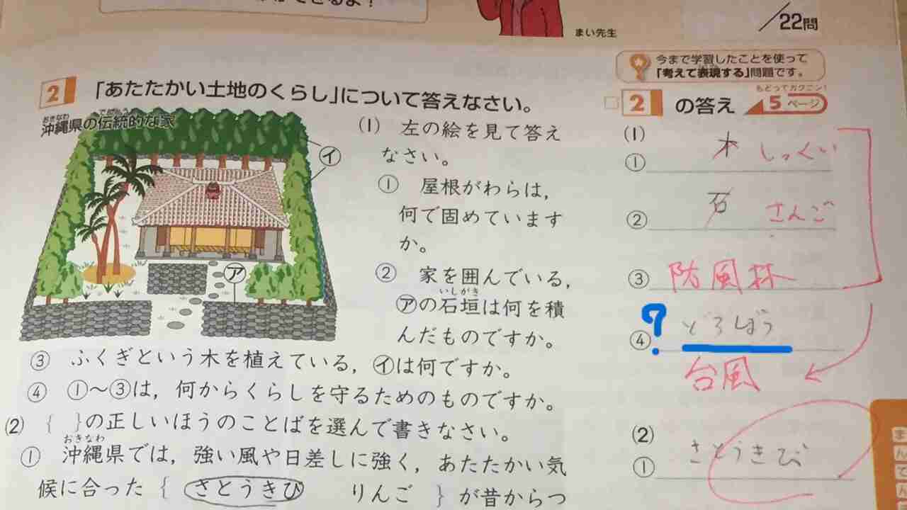 テストでの珍回答