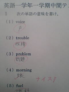 テストでの珍回答