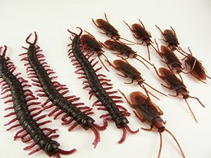笑えないイタズラ