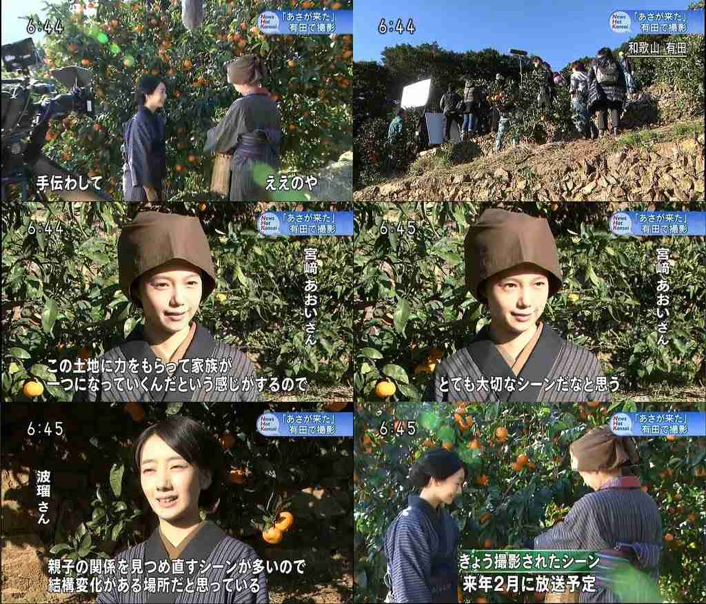今週の「あさが来た」【九転び十起き】