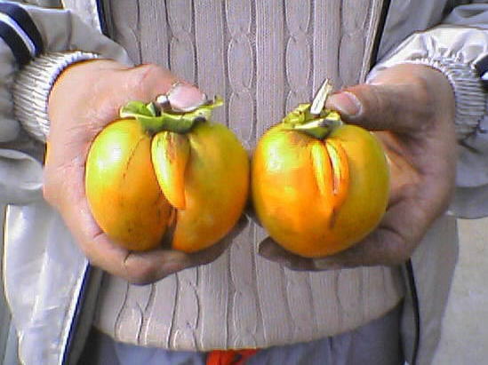 面白い食べ物の画像を貼るトピ