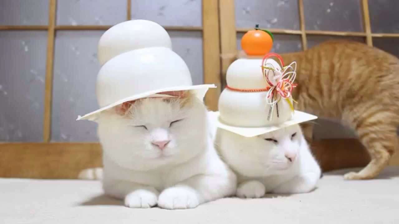 こたつでみかんを食べながらのんびり話すトピ