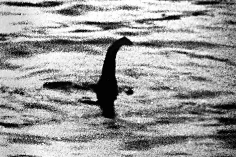 好きな伝説上の生き物