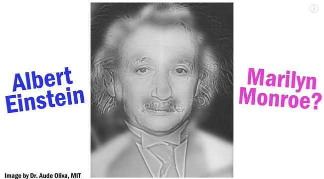 面白い錯覚画像を紹介するトピ