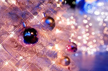 あなたの好きな画像、キャラクターでメリークリスマス！